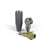 Straumann BLT implant with angled abutments, official image from the manufacturer
